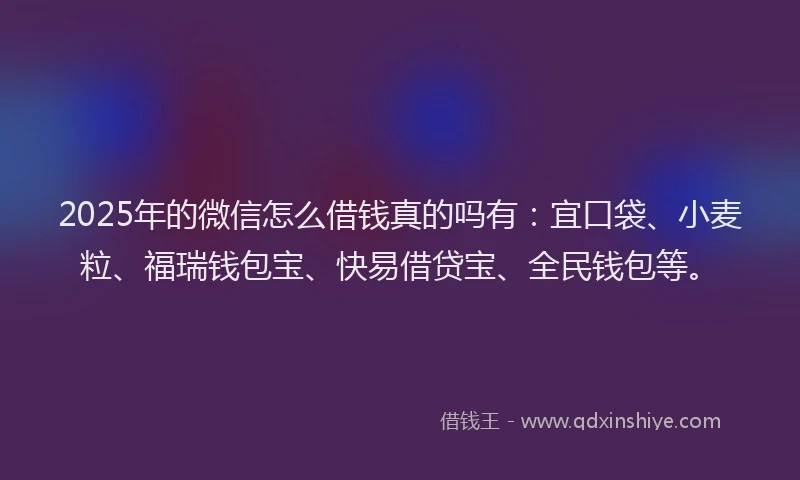 2025年的微信怎么借钱真的吗有：宜口袋、小麦粒、福瑞钱包宝、快易借贷宝、全民钱包等。
