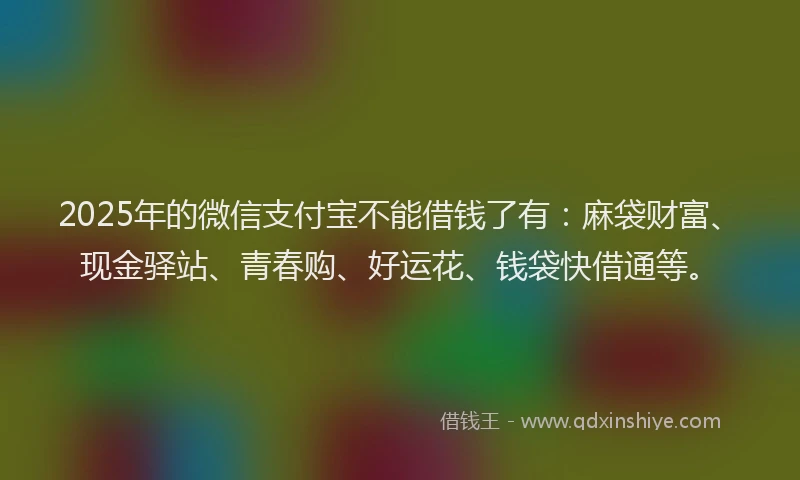 2025年的微信支付宝不能借钱了有：麻袋财富、现金驿站、青春购、好运花、钱袋快借通等。
