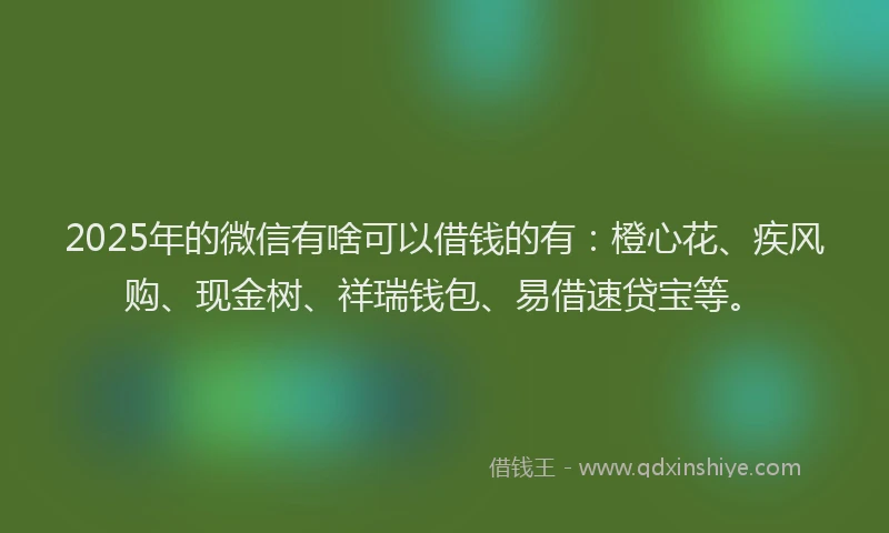 2025年的微信有啥可以借钱的有：橙心花、疾风购、现金树、祥瑞钱包、易借速贷宝等。