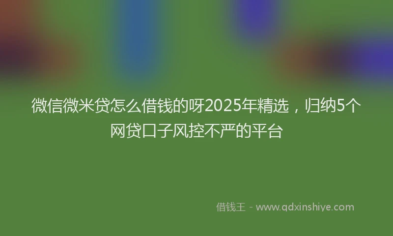微信微米贷怎么借钱的呀2025年精选，归纳5个网贷口子风控不严的平台