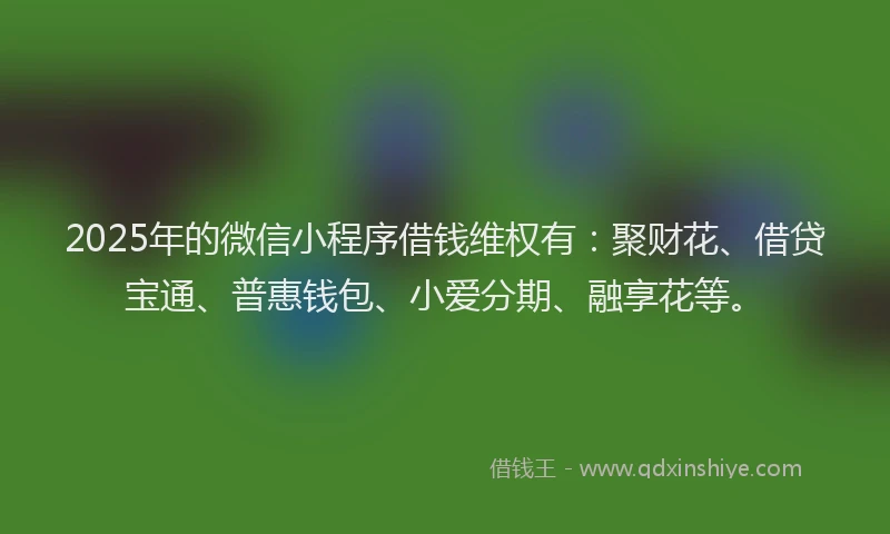 2025年的微信小程序借钱维权有：聚财花、借贷宝通、普惠钱包、小爱分期、融享花等。