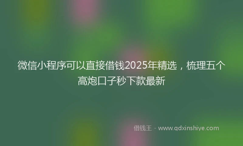 微信小程序可以直接借钱2025年精选，梳理五个高炮口子秒下款最新