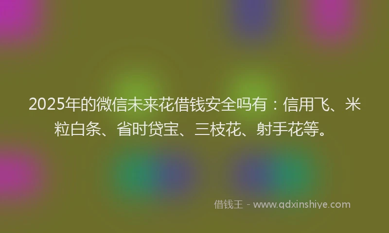 2025年的微信未来花借钱安全吗有：信用飞、米粒白条、省时贷宝、三枝花、射手花等。