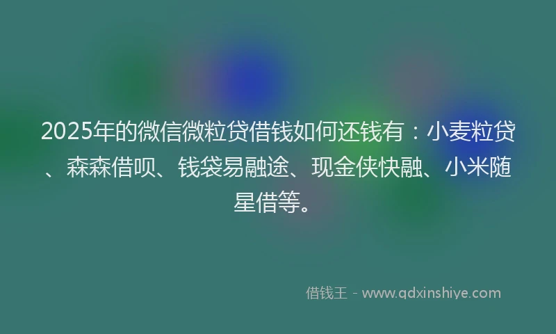 2025年的微信微粒贷借钱如何还钱有：小麦粒贷、森森借呗、钱袋易融途、现金侠快融、小米随星借等。