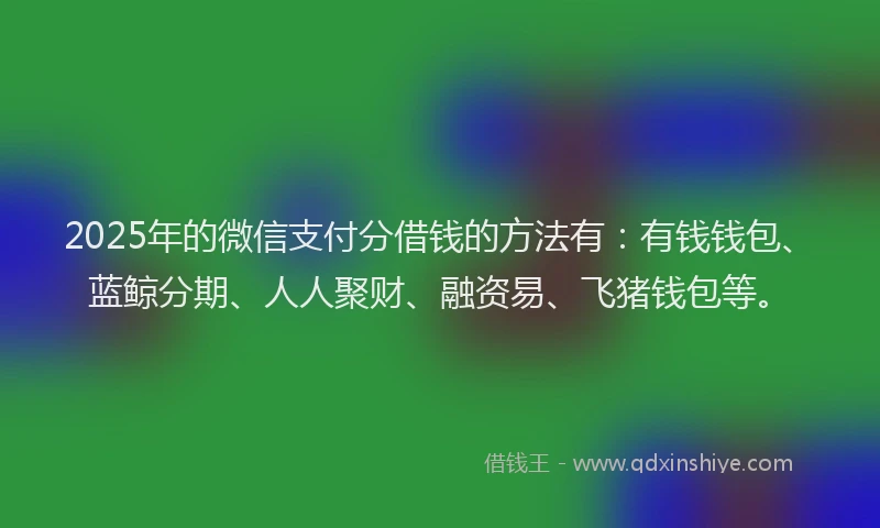 2025年的微信支付分借钱的方法有：有钱钱包、蓝鲸分期、人人聚财、融资易、飞猪钱包等。