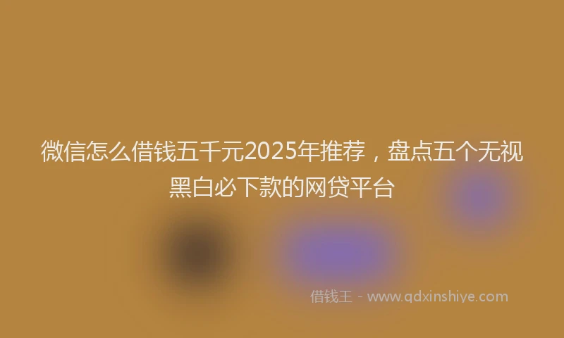 微信怎么借钱五千元2025年推荐，盘点五个无视黑白必下款的网贷平台