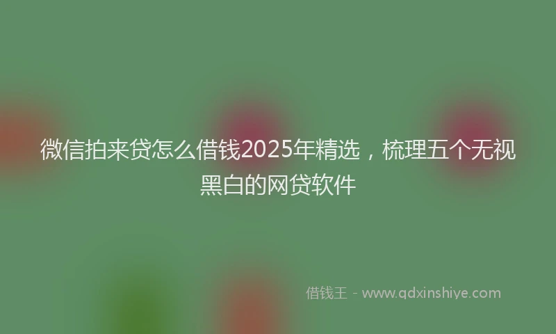 微信拍来贷怎么借钱2025年精选，梳理五个无视黑白的网贷软件