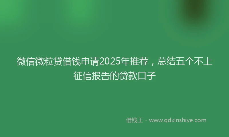 微信微粒贷借钱申请2025年推荐，总结五个不上征信报告的贷款口子