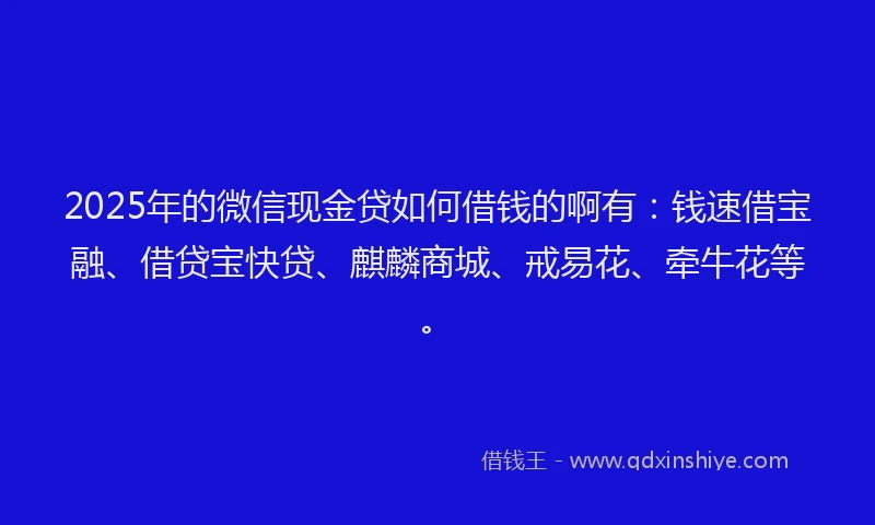 2025年的微信现金贷如何借钱的啊有：钱速借宝融、借贷宝快贷、麒麟商城、戒易花、牵牛花等。