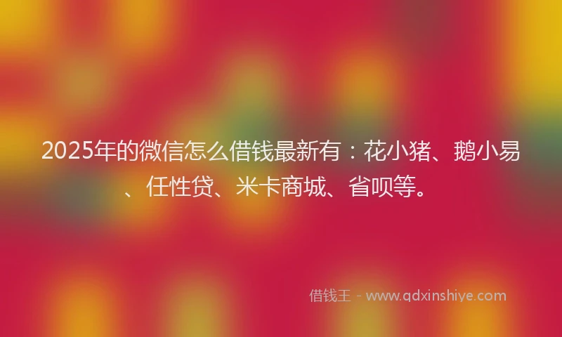 2025年的微信怎么借钱最新有：花小猪、鹅小易、任性贷、米卡商城、省呗等。