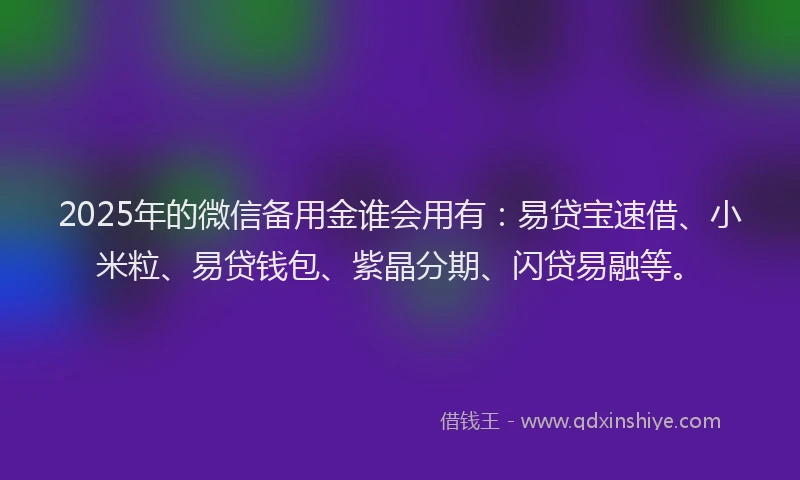 2025年的微信备用金谁会用有：易贷宝速借、小米粒、易贷钱包、紫晶分期、闪贷易融等。