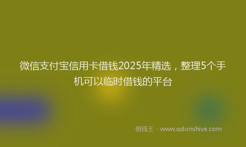 微信支付宝信用卡借钱2025年精选，整理5个手机可以临时借钱的平台