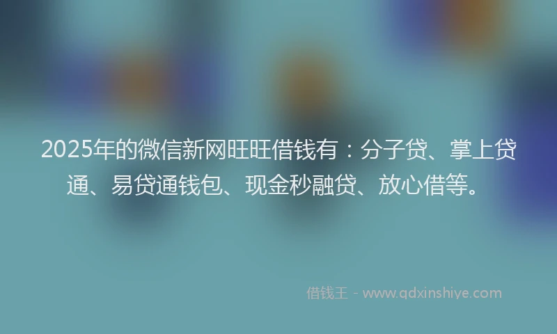 2025年的微信新网旺旺借钱有：分子贷、掌上贷通、易贷通钱包、现金秒融贷、放心借等。
