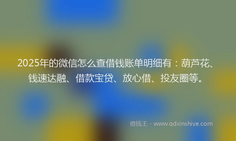 2025年的微信怎么查借钱账单明细有：葫芦花、钱速达融、借款宝贷、放心借、投友圈等。
