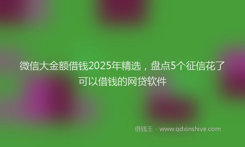 微信大金额借钱2025年精选，盘点5个征信花了可以借钱的网贷软件