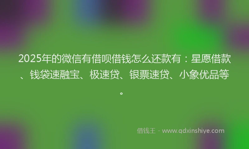 2025年的微信有借呗借钱怎么还款有：星愿借款、钱袋速融宝、极速贷、银票速贷、小象优品等。