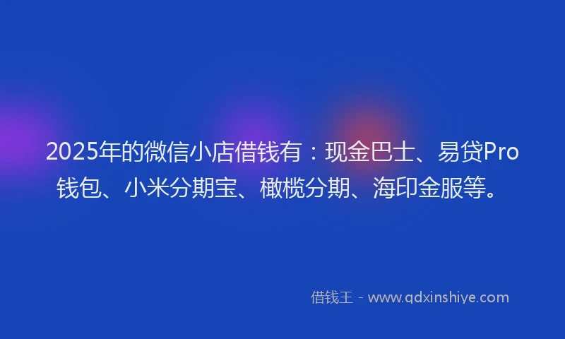 2025年的微信小店借钱有：现金巴士、易贷Pro钱包、小米分期宝、橄榄分期、海印金服等。