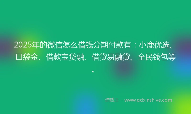 2025年的微信怎么借钱分期付款有：小鹿优选、口袋金、借款宝贷融、借贷易融贷、全民钱包等。