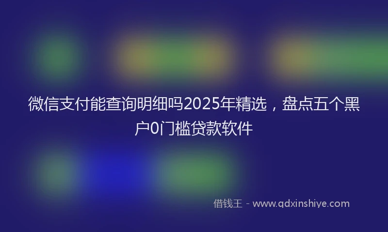 微信支付能查询明细吗2025年精选，盘点五个黑户0门槛贷款软件