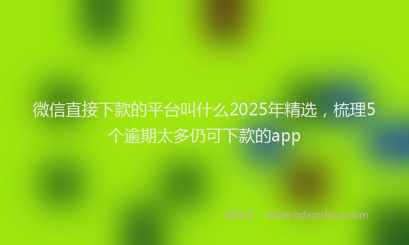 微信直接下款的平台叫什么2025年精选，梳理5个逾期太多仍可下款的app