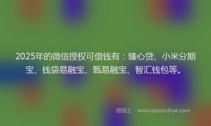 2025年的微信授权可借钱有：臻心贷、小米分期宝、钱袋易融宝、甄易融宝、智汇钱包等。