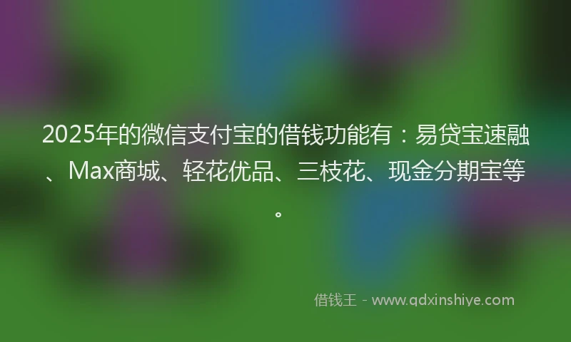 2025年的微信支付宝的借钱功能有：易贷宝速融、Max商城、轻花优品、三枝花、现金分期宝等。