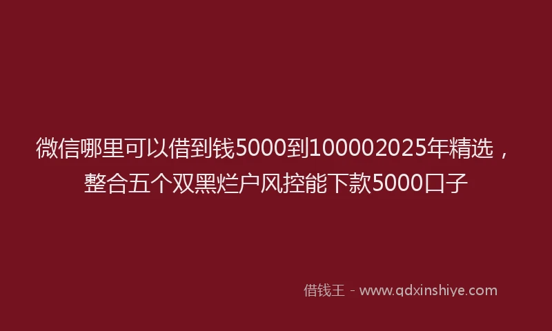 微信哪里可以借到钱5000到100002025年精选，整合五个双黑烂户风控能下款5000口子