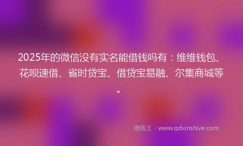 2025年的微信没有实名能借钱吗有：维维钱包、花呗速借、省时贷宝、借贷宝易融、尔集商城等。
