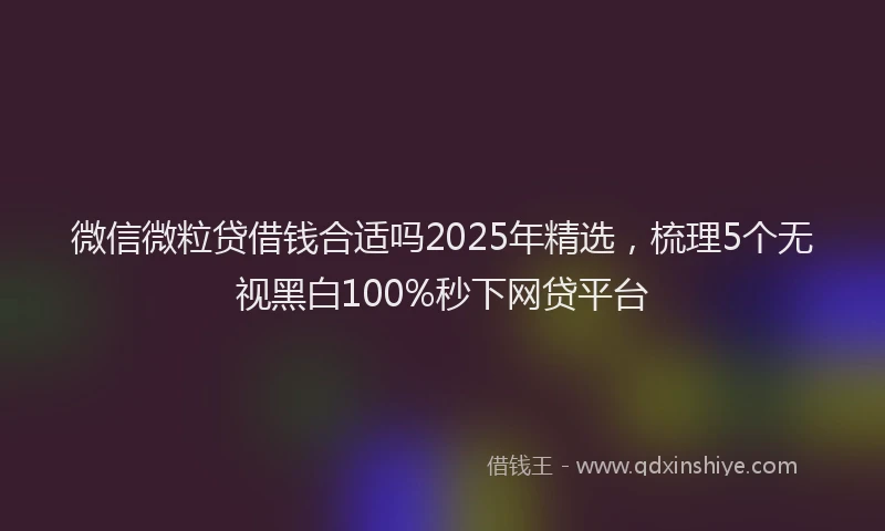 微信微粒贷借钱合适吗2025年精选，梳理5个无视黑白100%秒下网贷平台
