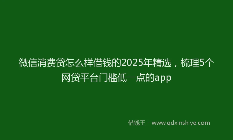 微信消费贷怎么样借钱的2025年精选，梳理5个网贷平台门槛低一点的app
