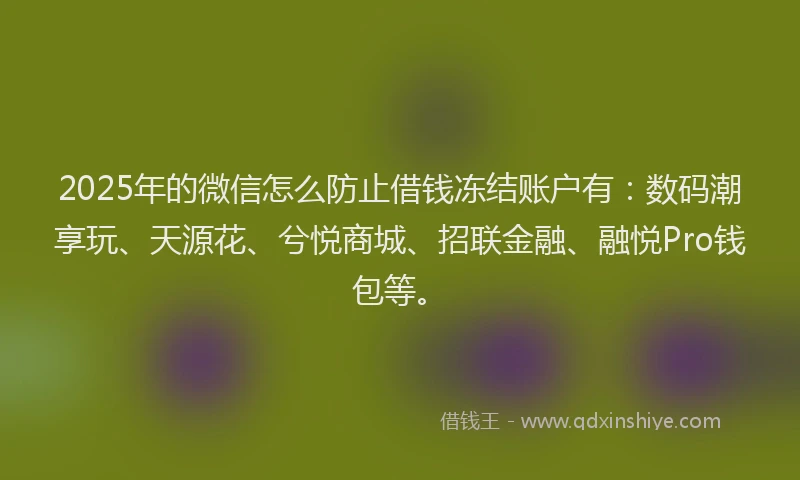 2025年的微信怎么防止借钱冻结账户有：数码潮享玩、天源花、兮悦商城、招联金融、融悦Pro钱包等。