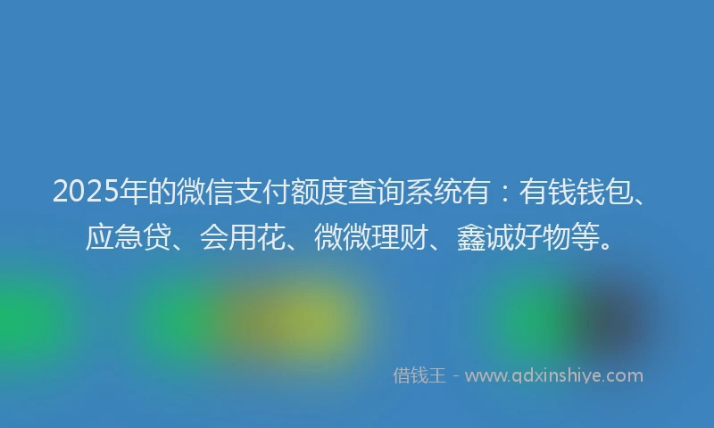 2025年的微信支付额度查询系统有：有钱钱包、应急贷、会用花、微微理财、鑫诚好物等。