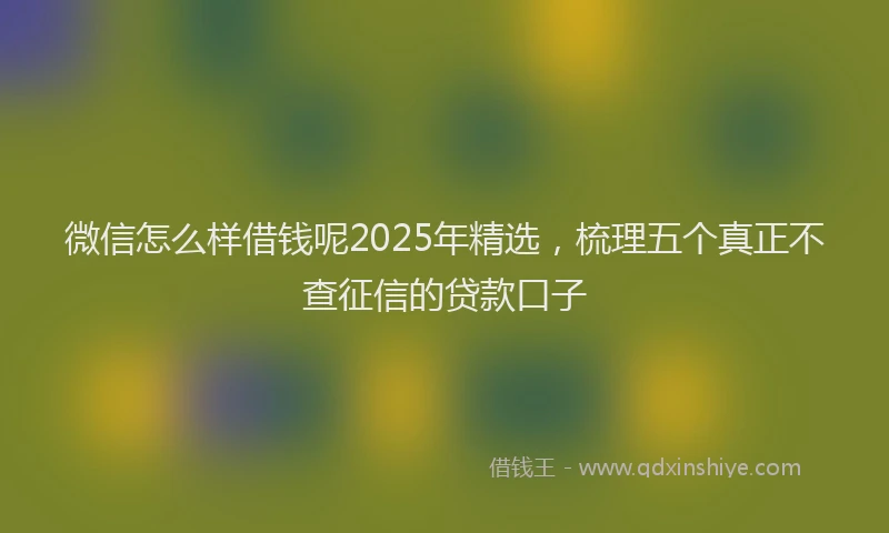 微信怎么样借钱呢2025年精选，梳理五个真正不查征信的贷款口子