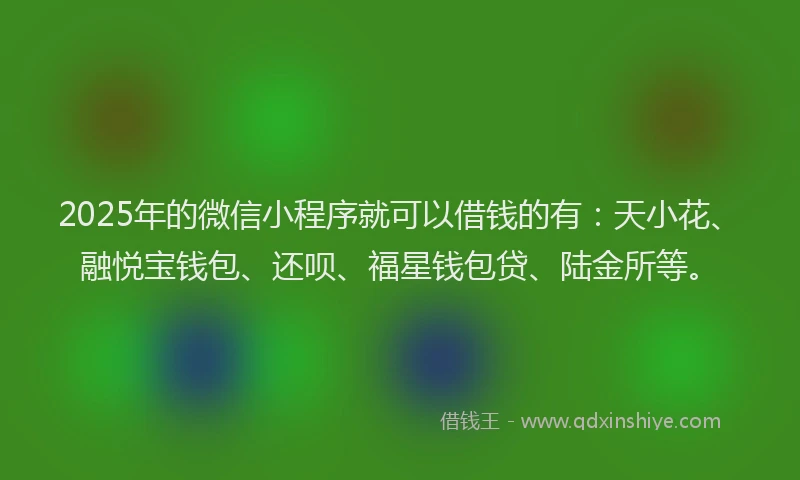 2025年的微信小程序就可以借钱的有：天小花、融悦宝钱包、还呗、福星钱包贷、陆金所等。