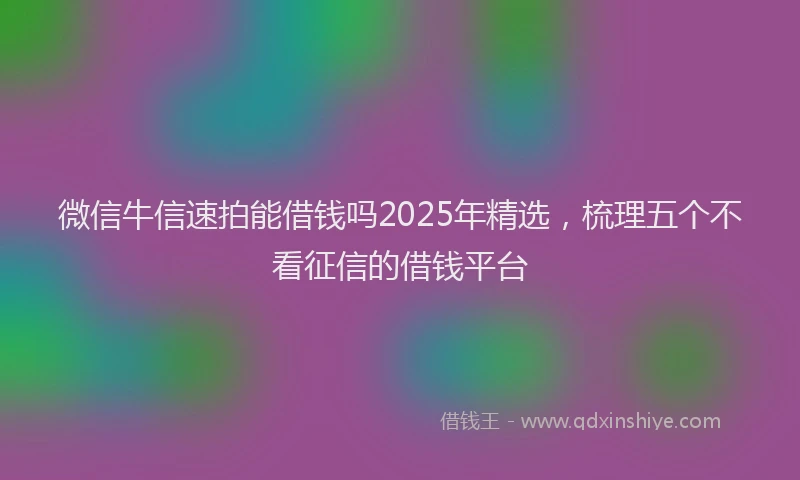 微信牛信速拍能借钱吗2025年精选，梳理五个不看征信的借钱平台