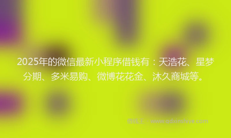 2025年的微信最新小程序借钱有：天浩花、星梦分期、多米易购、微博花花金、沐久商城等。