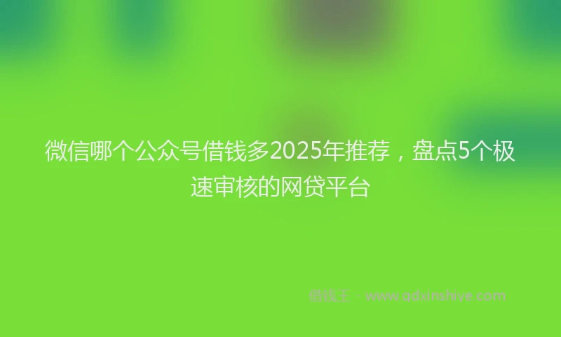 微信哪个公众号借钱多2025年推荐，盘点5个极速审核的网贷平台