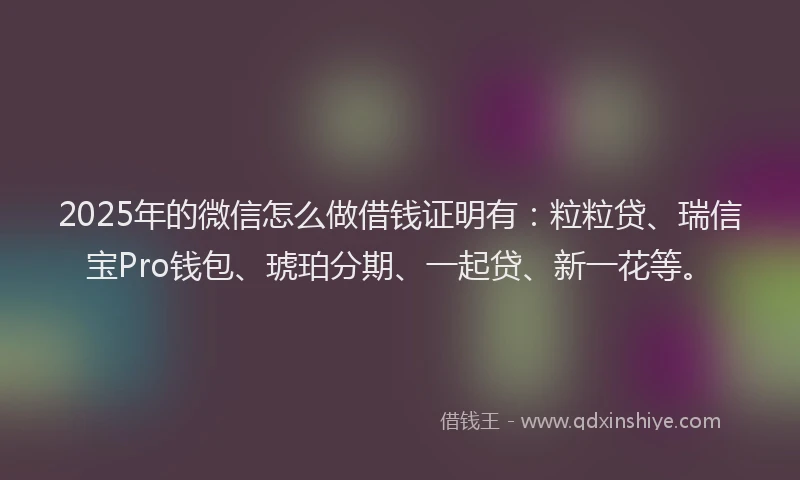 2025年的微信怎么做借钱证明有：粒粒贷、瑞信宝Pro钱包、琥珀分期、一起贷、新一花等。