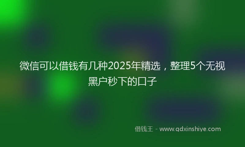微信可以借钱有几种2025年精选，整理5个无视黑户秒下的口子