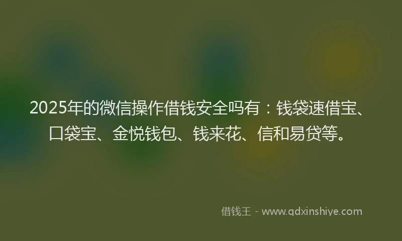 2025年的微信操作借钱安全吗有：钱袋速借宝、口袋宝、金悦钱包、钱来花、信和易贷等。