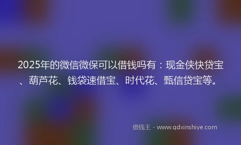 2025年的微信微保可以借钱吗有：现金侠快贷宝、葫芦花、钱袋速借宝、时代花、甄信贷宝等。