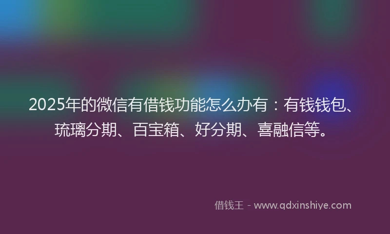 2025年的微信有借钱功能怎么办有：有钱钱包、琉璃分期、百宝箱、好分期、喜融信等。