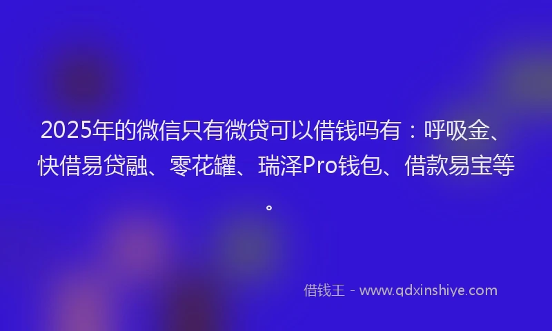 2025年的微信只有微贷可以借钱吗有：呼吸金、快借易贷融、零花罐、瑞泽Pro钱包、借款易宝等。