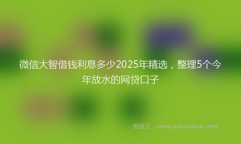 微信大智借钱利息多少2025年精选，整理5个今年放水的网贷口子