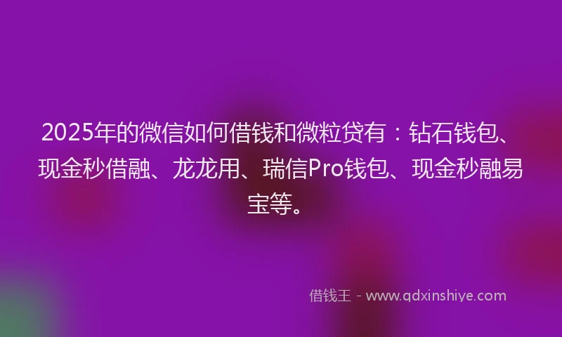 2025年的微信如何借钱和微粒贷有：钻石钱包、现金秒借融、龙龙用、瑞信Pro钱包、现金秒融易宝等。