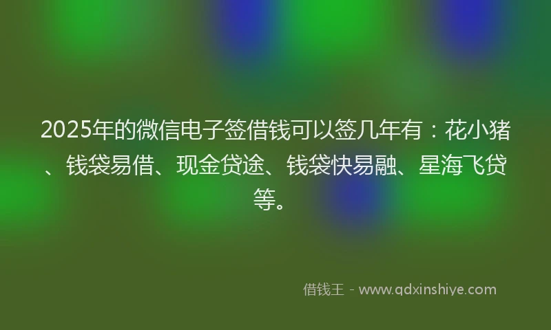 2025年的微信电子签借钱可以签几年有：花小猪、钱袋易借、现金贷途、钱袋快易融、星海飞贷等。