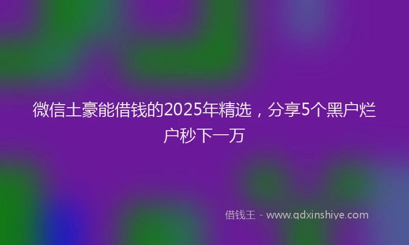 微信土豪能借钱的2025年精选，分享5个黑户烂户秒下一万