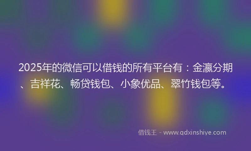 2025年的微信可以借钱的所有平台有：金瀛分期、吉祥花、畅贷钱包、小象优品、翠竹钱包等。