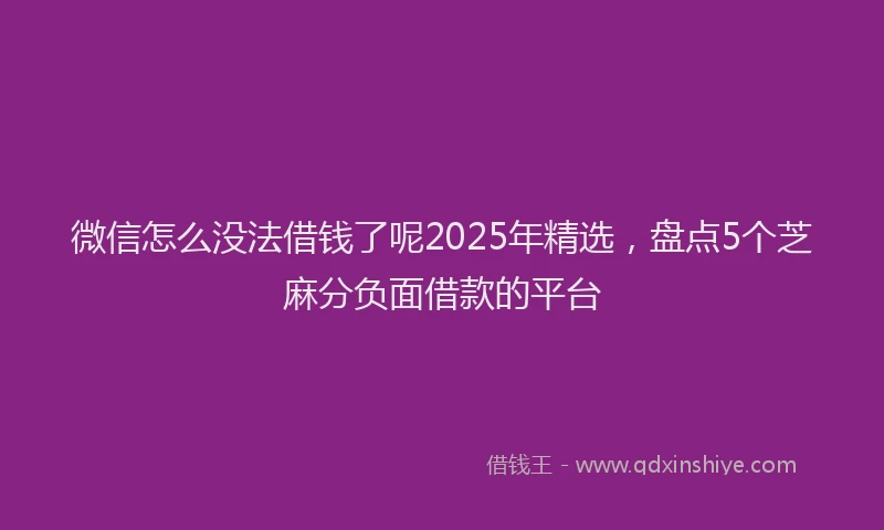 微信怎么没法借钱了呢2025年精选，盘点5个芝麻分负面借款的平台