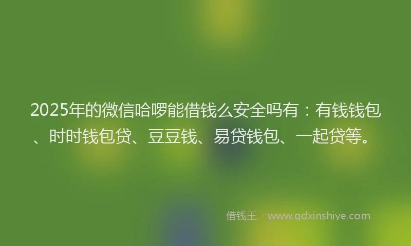 2025年的微信哈啰能借钱么安全吗有：有钱钱包、时时钱包贷、豆豆钱、易贷钱包、一起贷等。